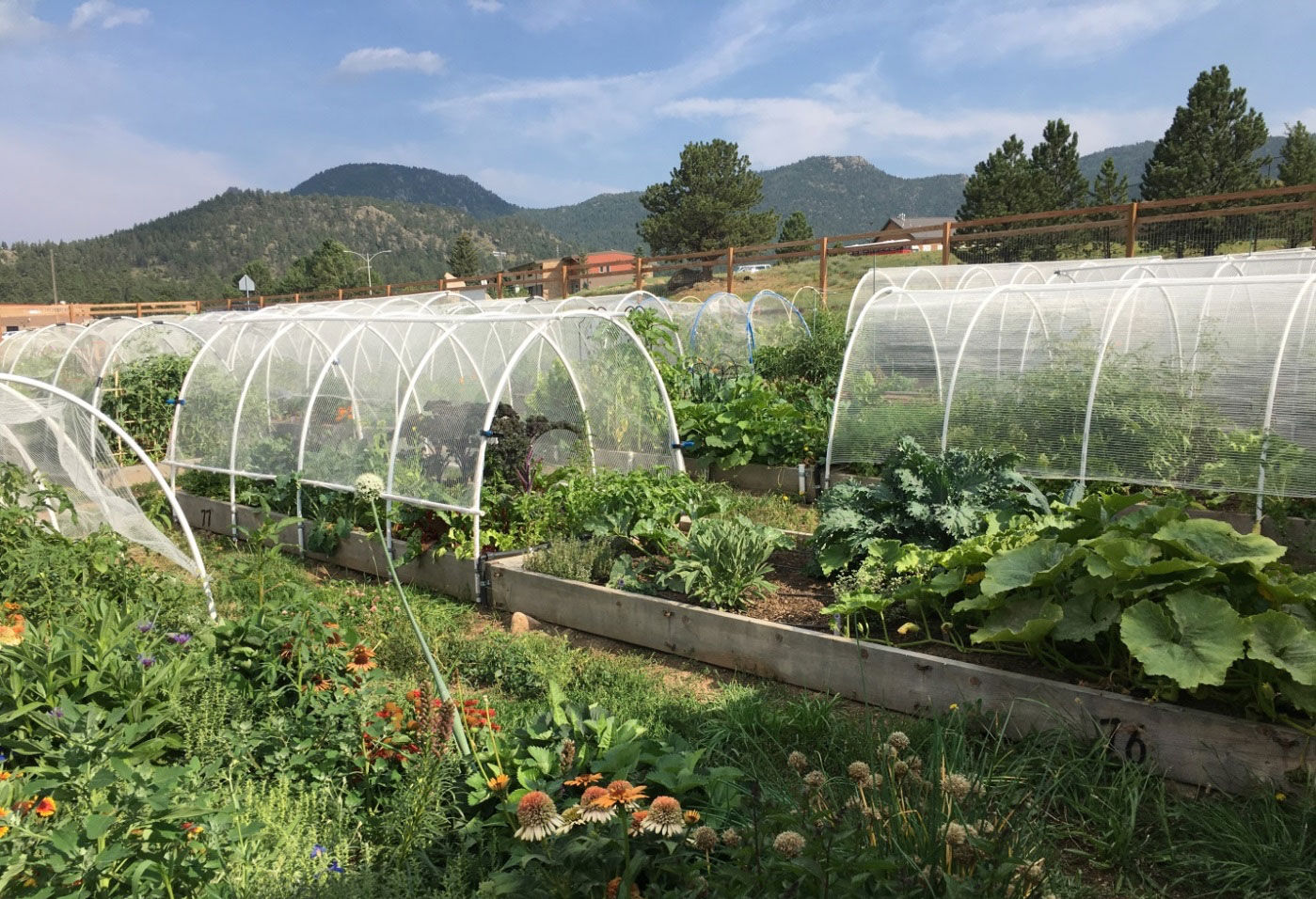 Community Garden
